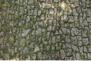 tiles floor stones overgrown
